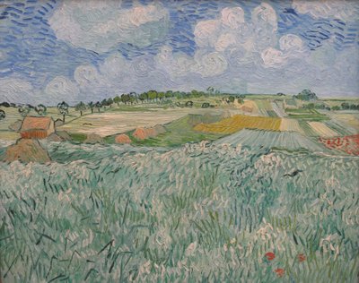 Plain near Auvers by Vincent van Gogh